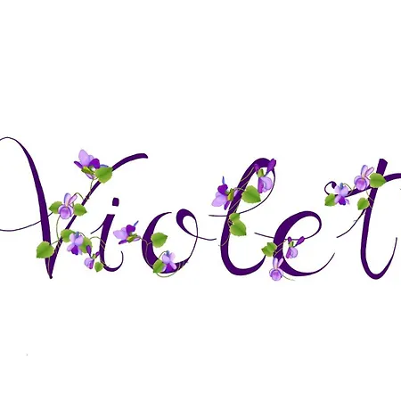 דירה Violet - פארמה