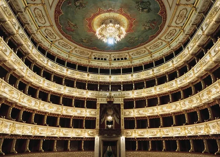 Violet - Daire Parma